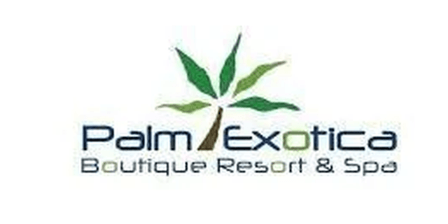 Palm Exotica
